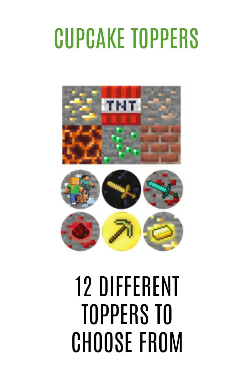 MASSIVE Minecraft Party Pack
