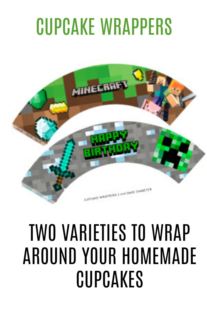 MASSIVE Minecraft Party Pack