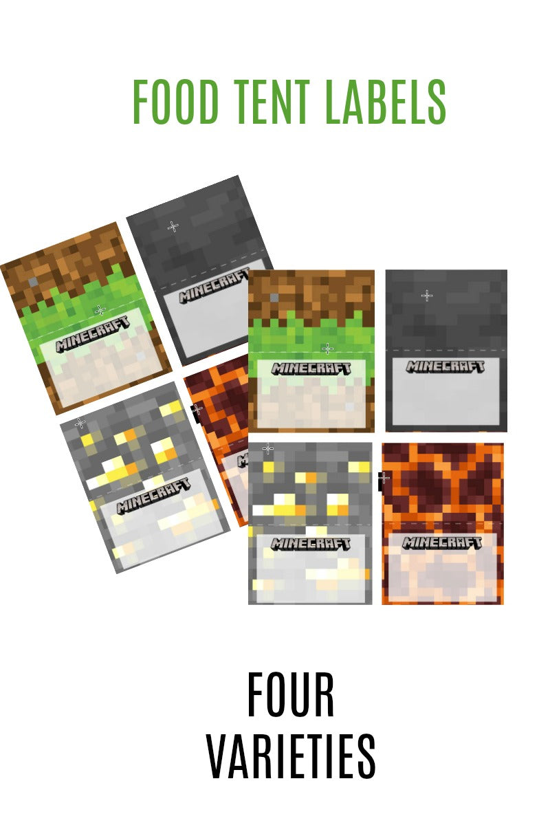 MASSIVE Minecraft Party Pack
