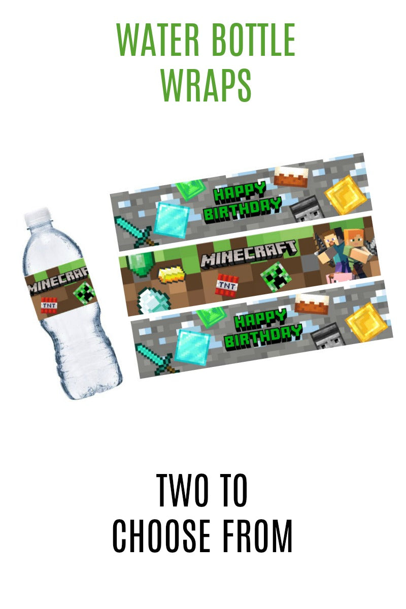 MASSIVE Minecraft Party Pack